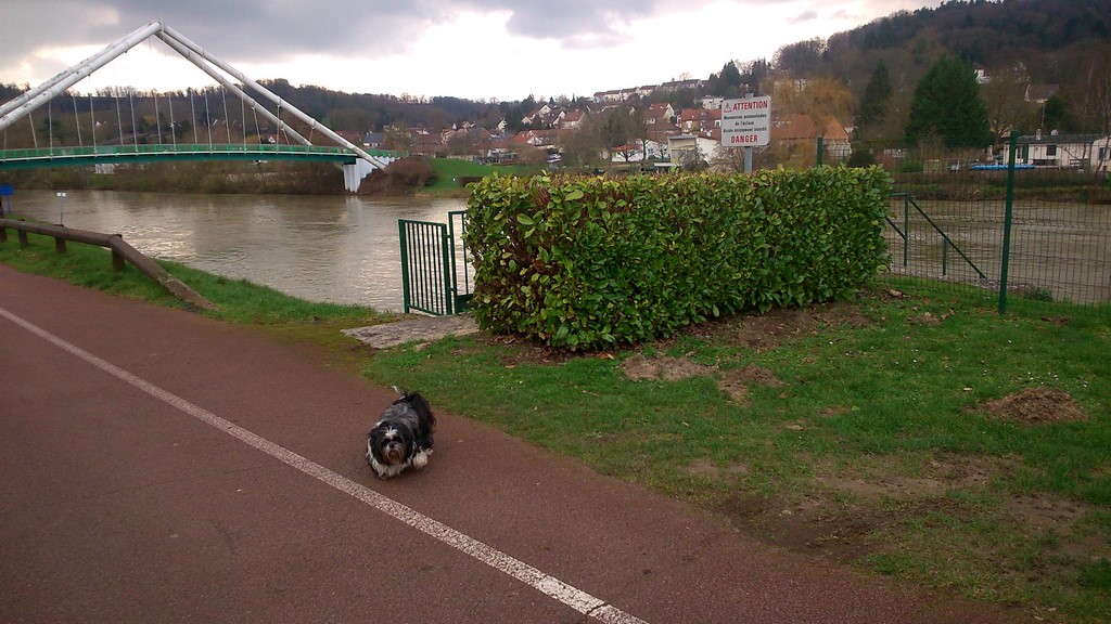 DSC_1100 (Copier).jpg