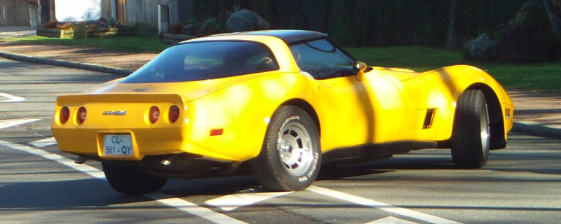 FILE0286.JPG