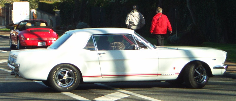 FILE0288.JPG