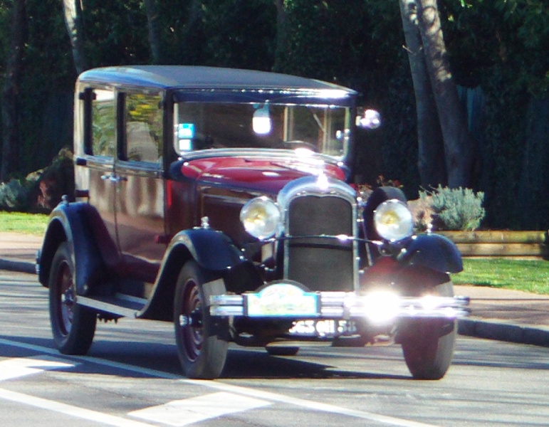 FILE0293.JPG