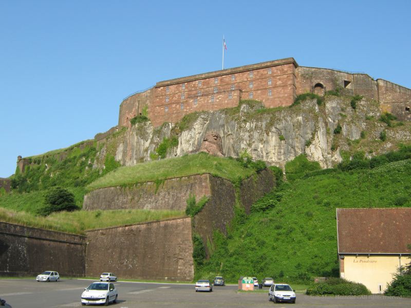 l1.jpg