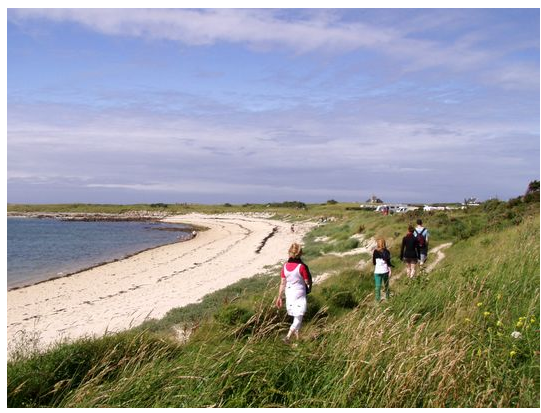 île grande.png