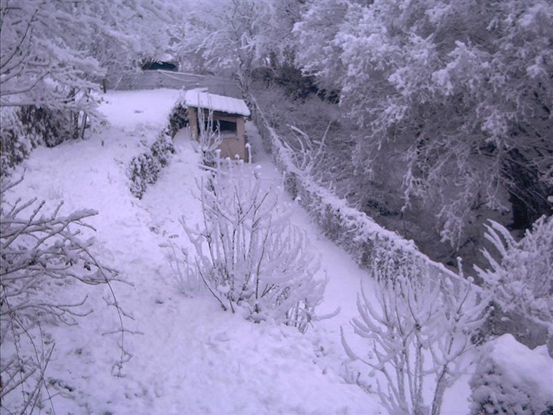 Neige.jpg