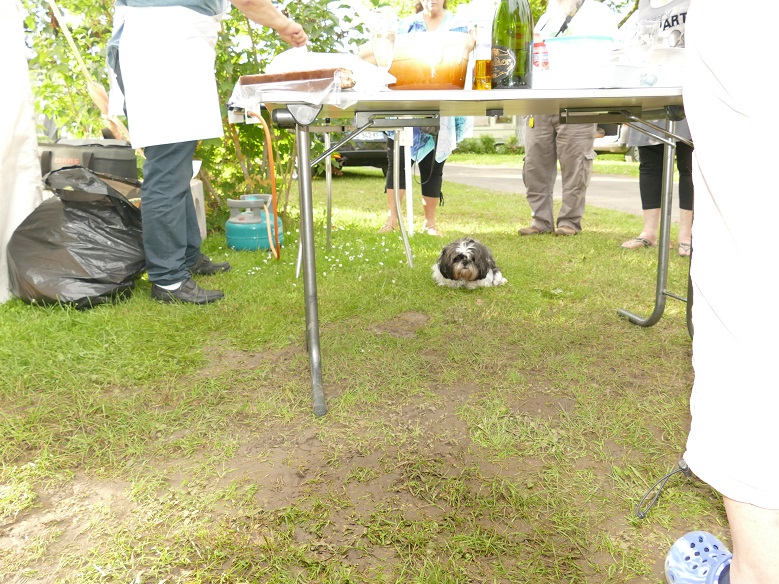 P1070501&.jpg