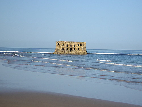 559034.jpg