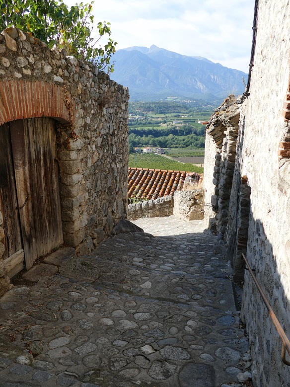 P1080915&.jpg