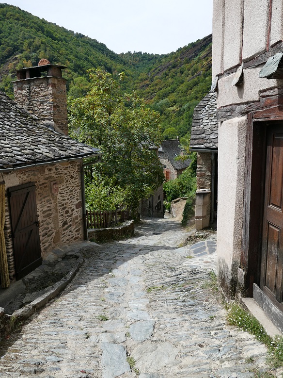 P1090116&.jpg