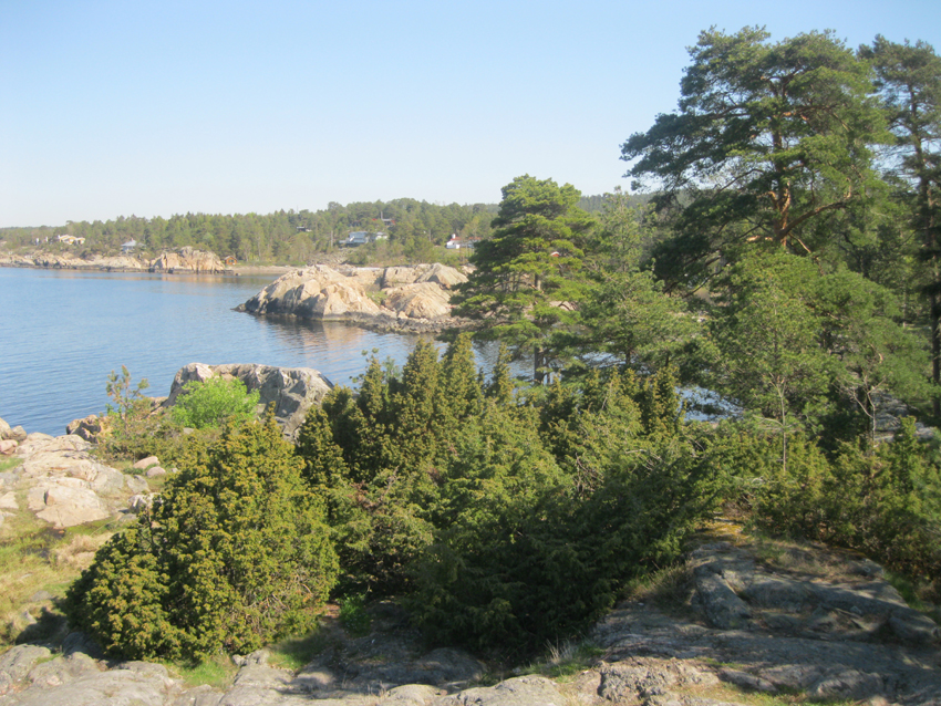 Larkollen, Oslofjord.jpg