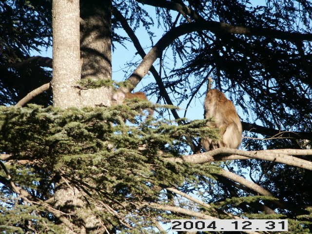 PICT0007.JPG