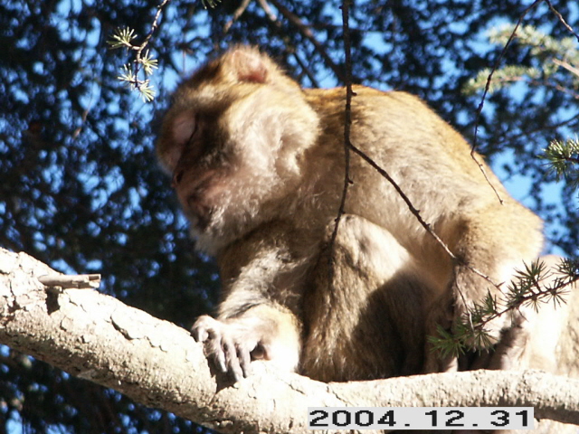 PICT0010.JPG