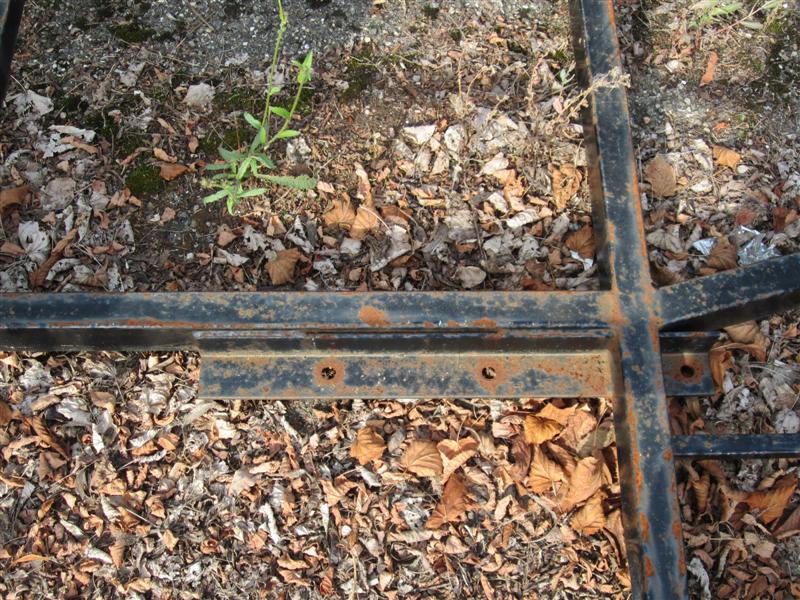 IMG_3707 (Medium).JPG