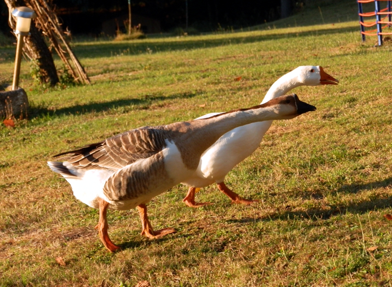 Lubin_&_Bertille.jpg