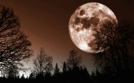 super-lune-14-novembre-2016.jpg