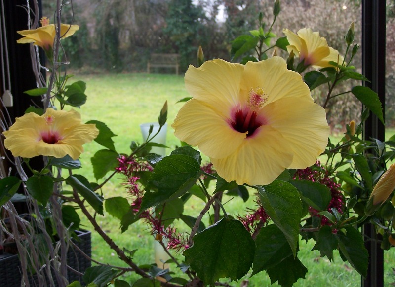 100_5809.JPG
