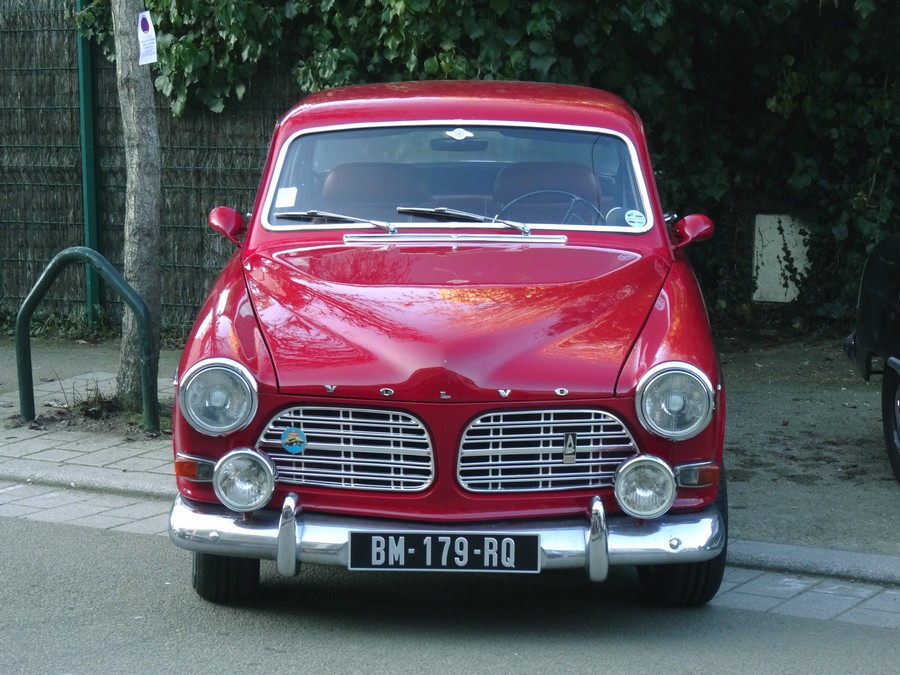 DSC06871.JPG