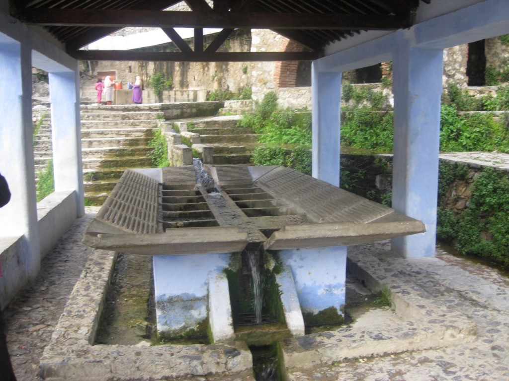 IMG_7794 (Copiar).JPG