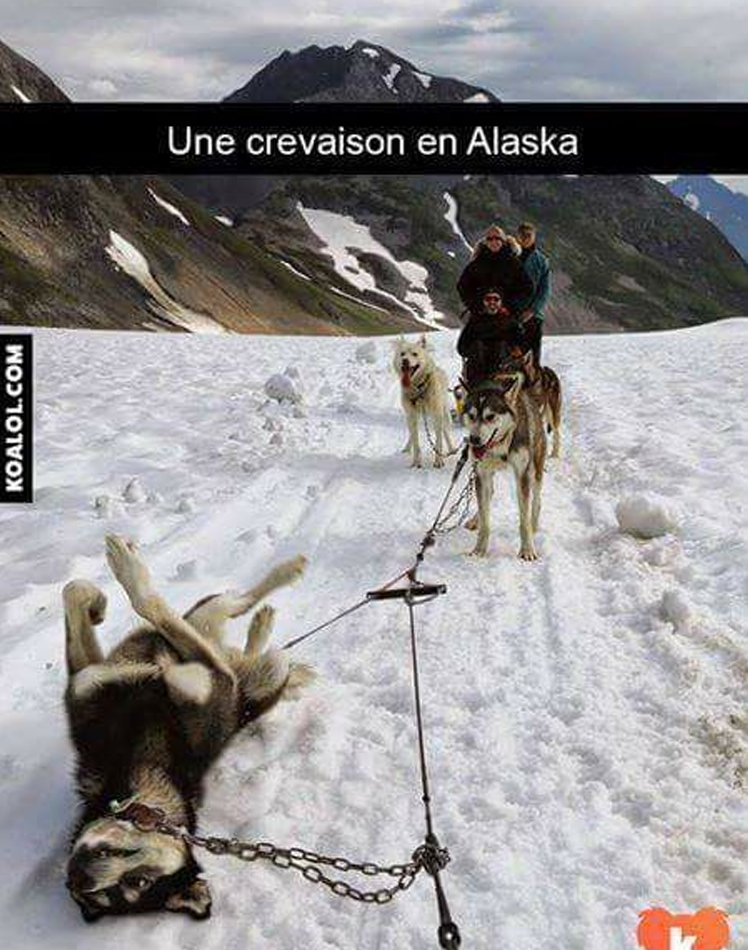 alaska.jpg
