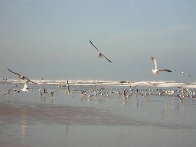 Afrique 2008 021_PhotoRedukto.jpg