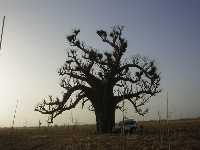 Afrique 2008 155_PhotoRedukto.jpg