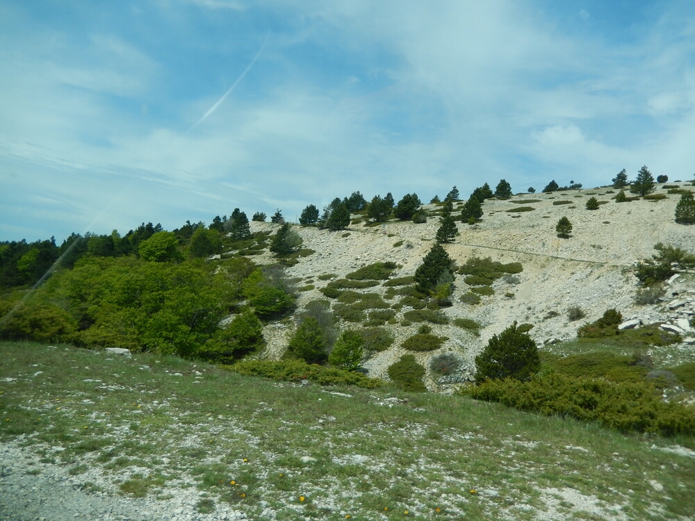 DSCN2888.JPG