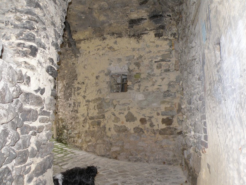 P3310659 (Copier).JPG