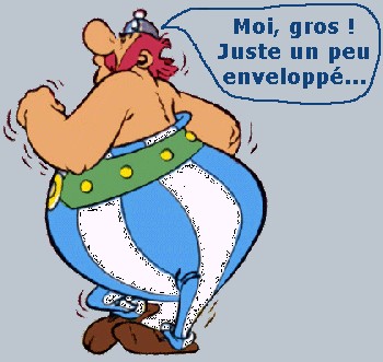 obelix_bd.jpg