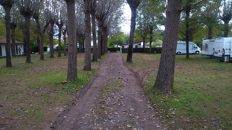 DSC_0032 (Copier).jpg