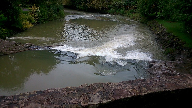 DSC_0036 (Copier).jpg