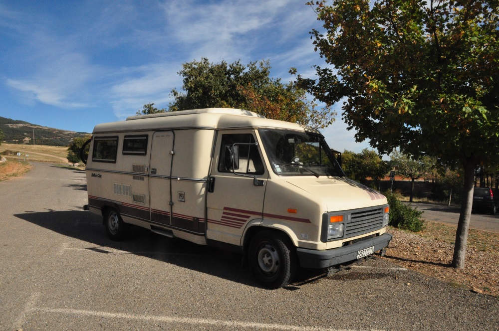 DSC_466.jpg
