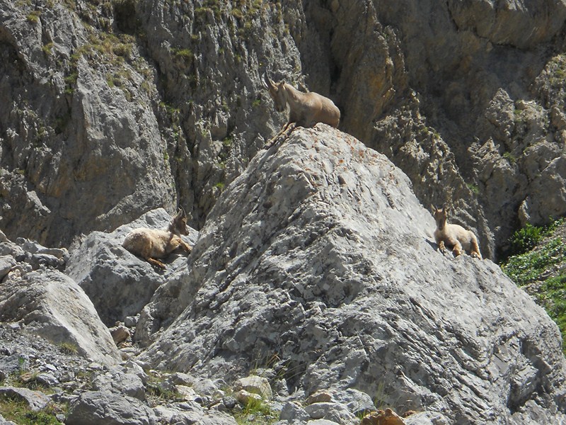 Parc national des écrins (2).JPG