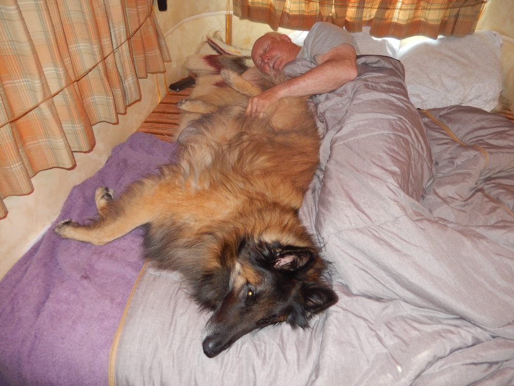 DSCN0917.JPG