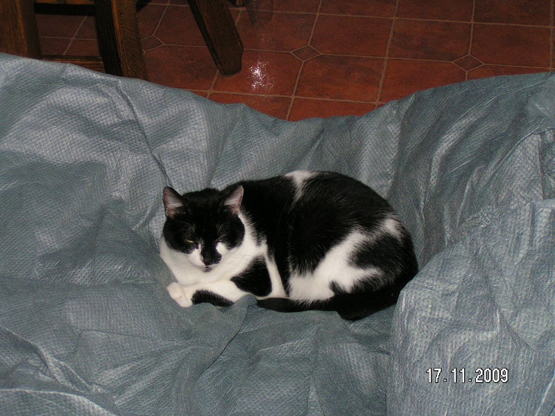 Tempête teste la bâche de la caravane.jpg