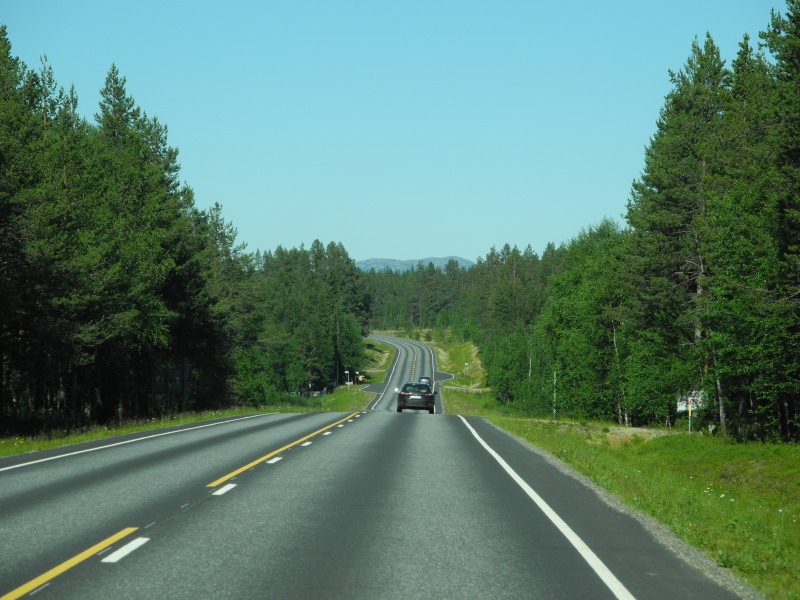 p81.JPG