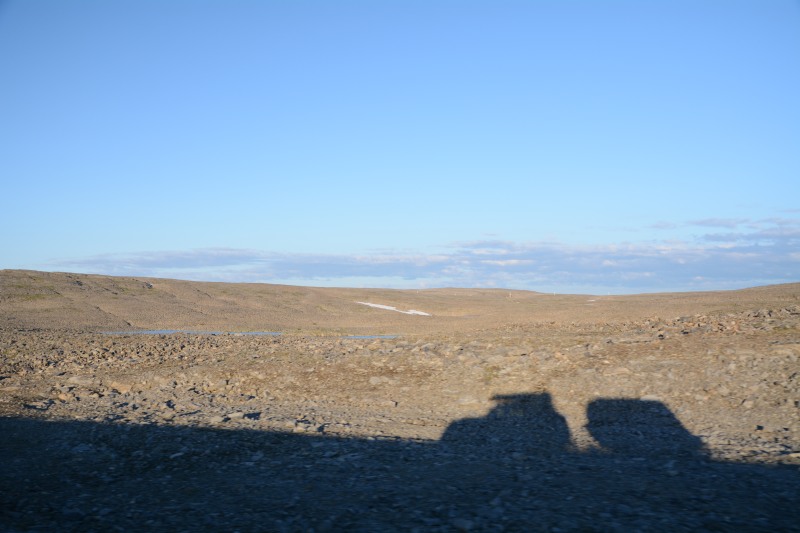p113.JPG