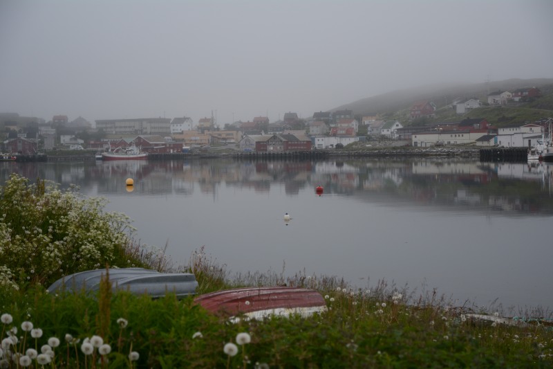 p116.JPG