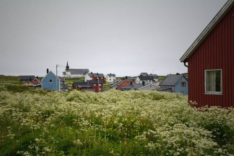 p124.JPG