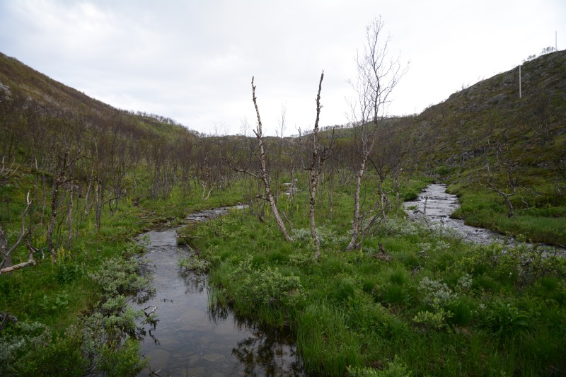 p138.JPG