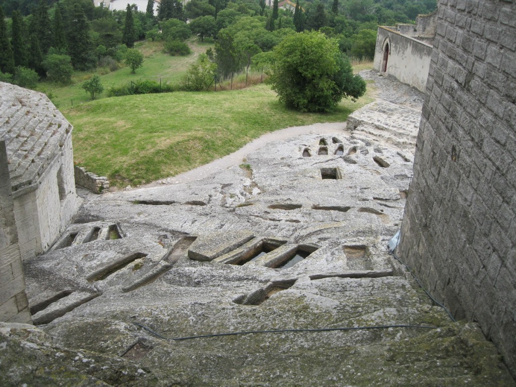 IMG_6885.JPG