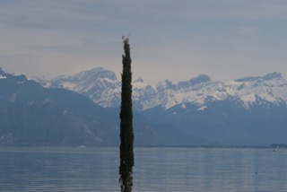 IMG_5661.jpeg