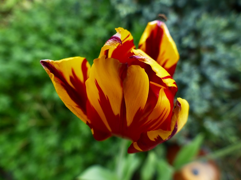P1130862&.jpg