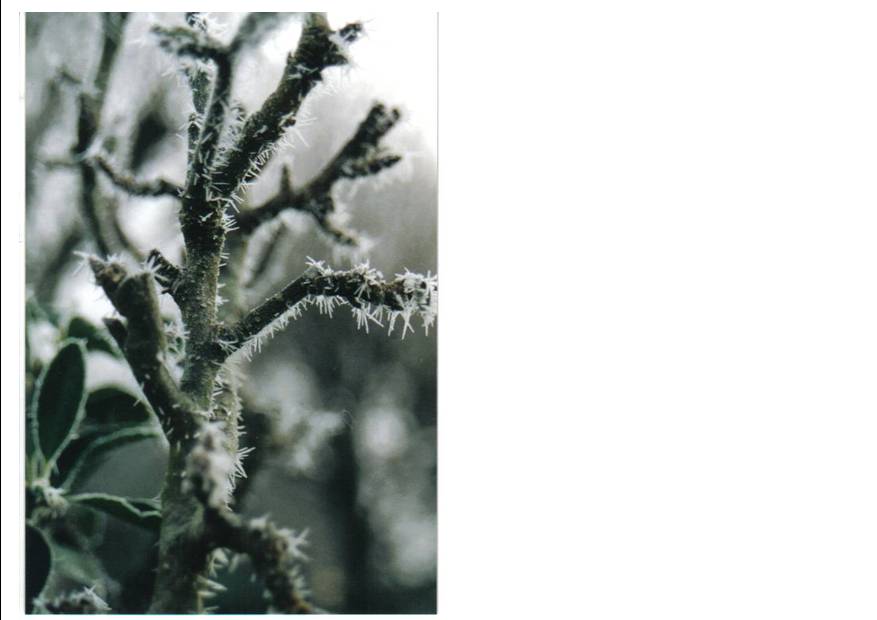 Hiver2.jpg