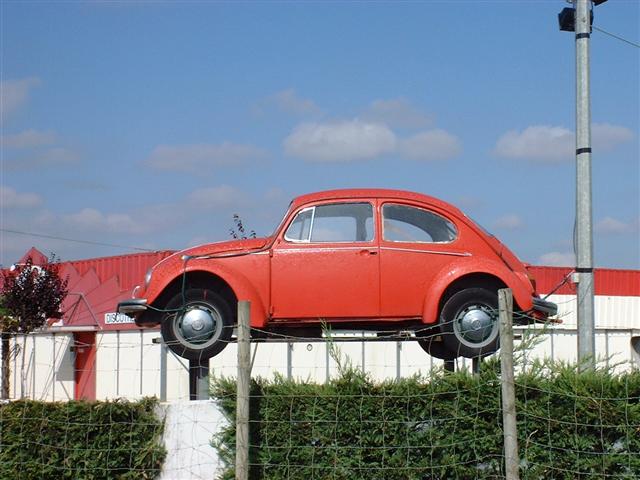 DSCF0078 (Small).JPG