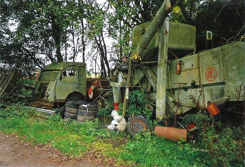598 .jpg