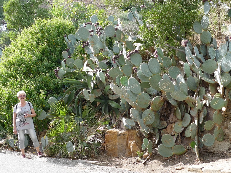 P1150645&.jpg