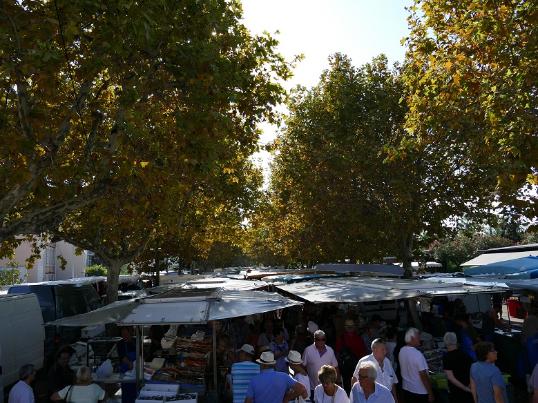 P1150689&.jpg