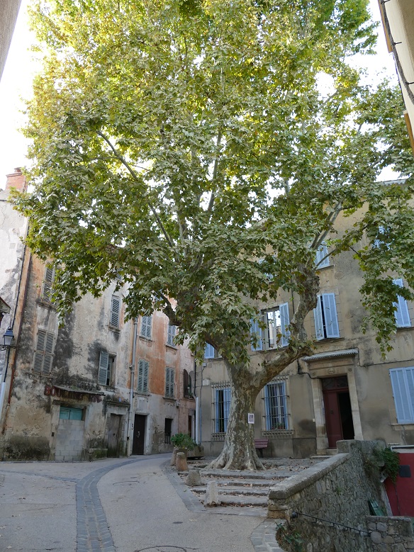 P1150747&.jpg