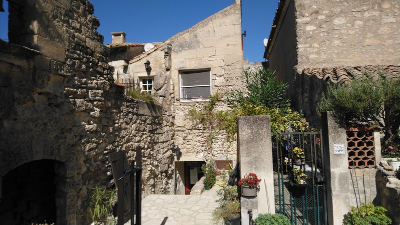 Le chat, vous avez vu le chat ?