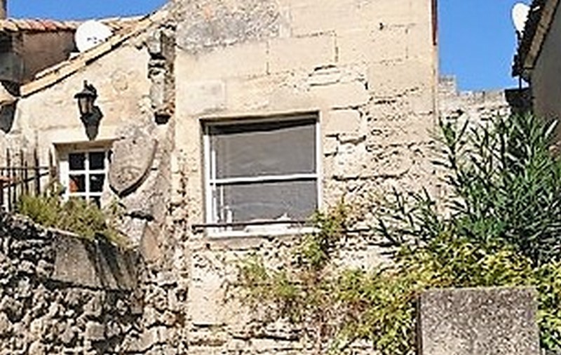 Le chat (Copier).JPG