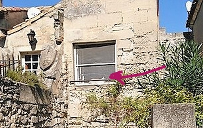 InkedLe chat_LI - Copie (Copier).jpg