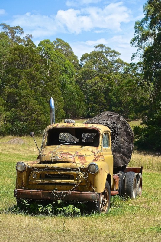 Camion bois.jpg